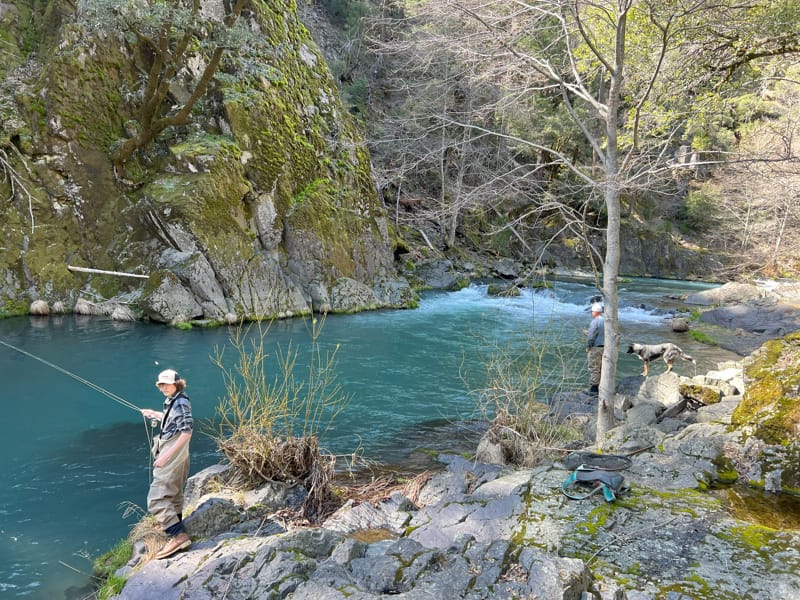 McCloud River Jack Trout Fly Fishing Guide