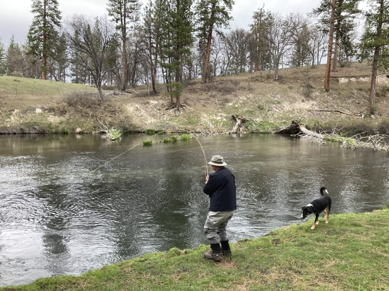 Hat Creek Jacktrout Fly fishing