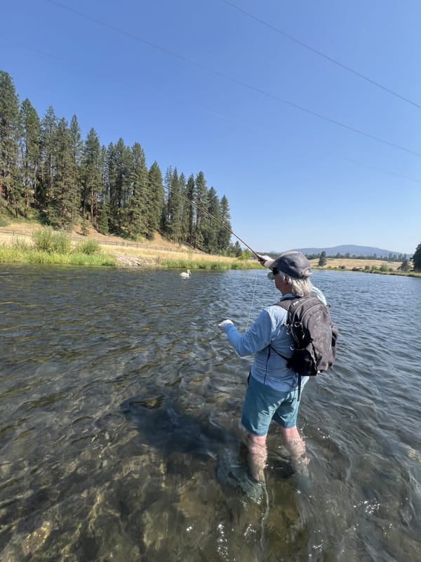 Hat Creek Jacktrout Fly fishing