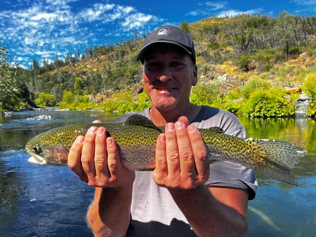 Upper Sacramento River Jack Trout Fly Fishing Guide