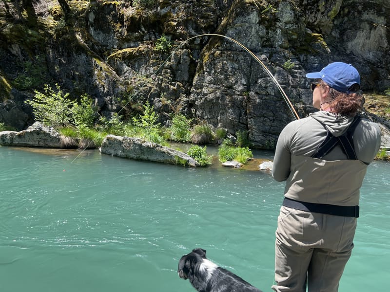 McCloud River Jack Trout Fly Fishing Guide