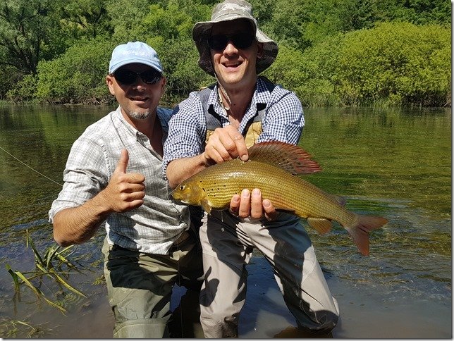 Jack Trout Fly Fishing Guide Bosnia