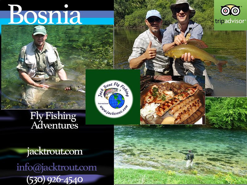 Jack Trout Fly Fishing Guide Bosnia