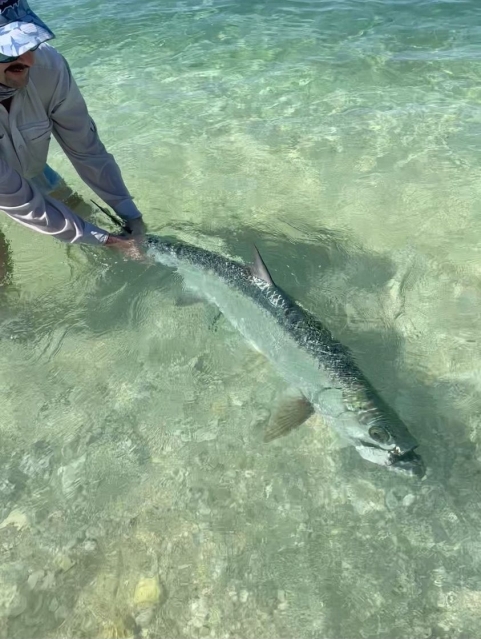 Cayman Islands Jacktrout Fly fishing