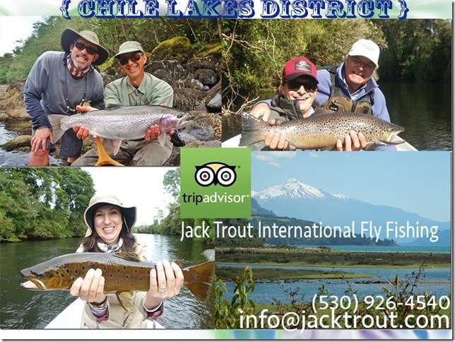 Jack Trout Fly Fishing Guide Puerto Montt Chile