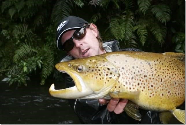 Jack Trout Fly Fishing Guide New Zealand