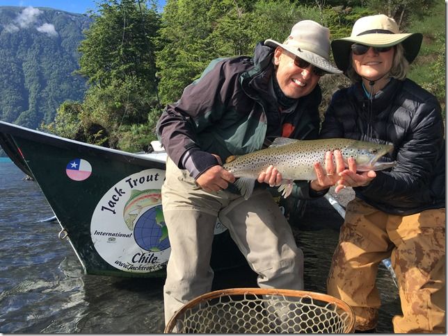 Jack Trout Fly Fishing Guide Puerto Montt Chile