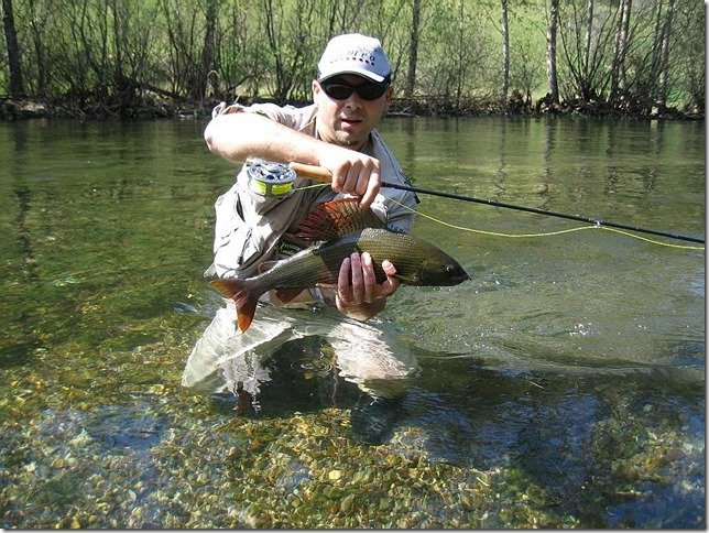 Jack Trout Fly Fishing Guide Bosnia