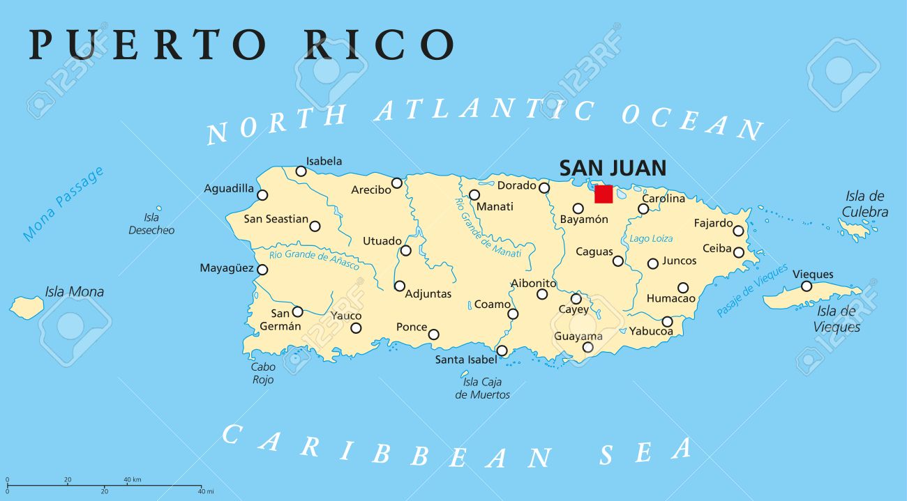 Jack Trout Fly Fishing Guide Puerto Rico