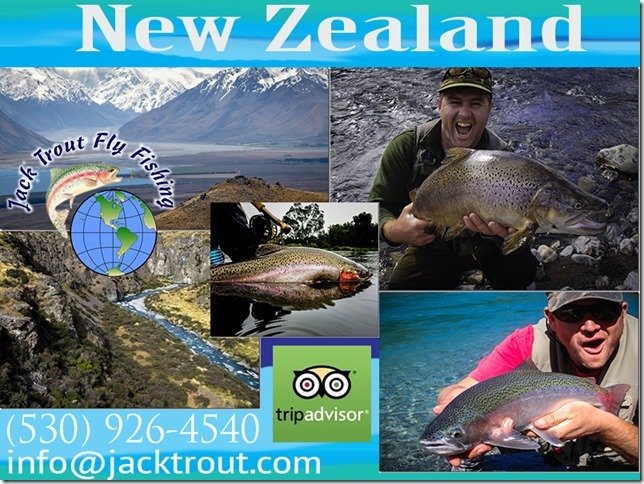 Jack Trout Fly Fishing Guide New Zealand