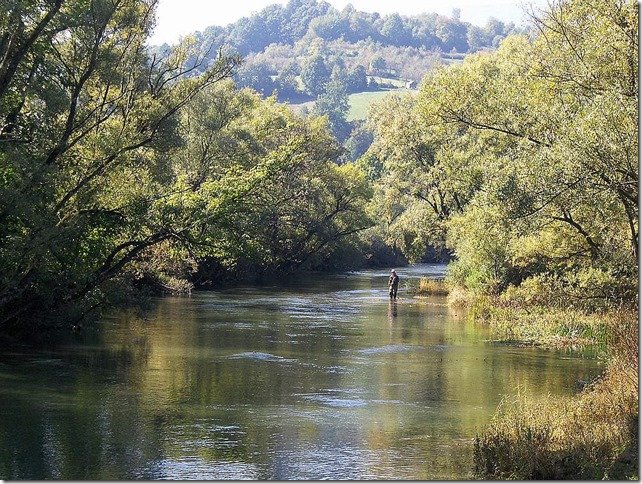 Jack Trout Fly Fishing Guide Bosnia