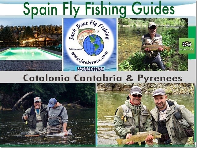 Spain Jack Trout Fly Fishing Guide