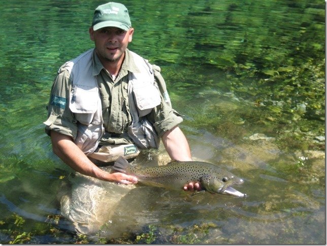 Jack Trout Fly Fishing Guide Bosnia