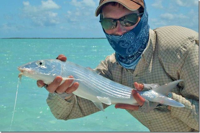 Bahamas Jack Trout Fly Fishing Guide