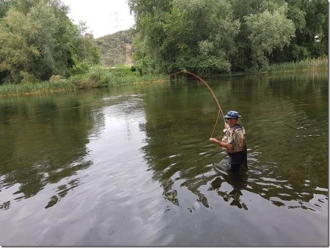 Spain Jack Trout Fly Fishing Guide