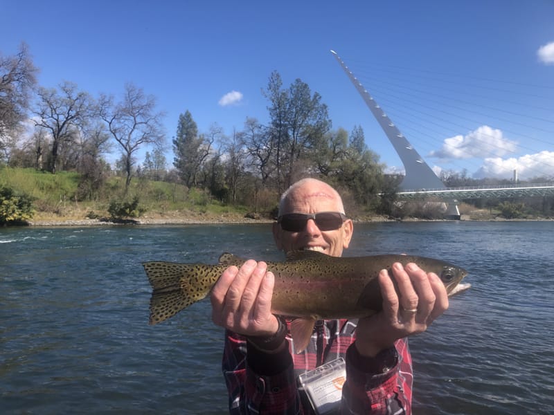 Lower Sacramento River Jack Trout Fly Fishing Guide