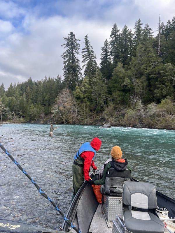 Chetco River Jack Trout Fly Fishing Guide