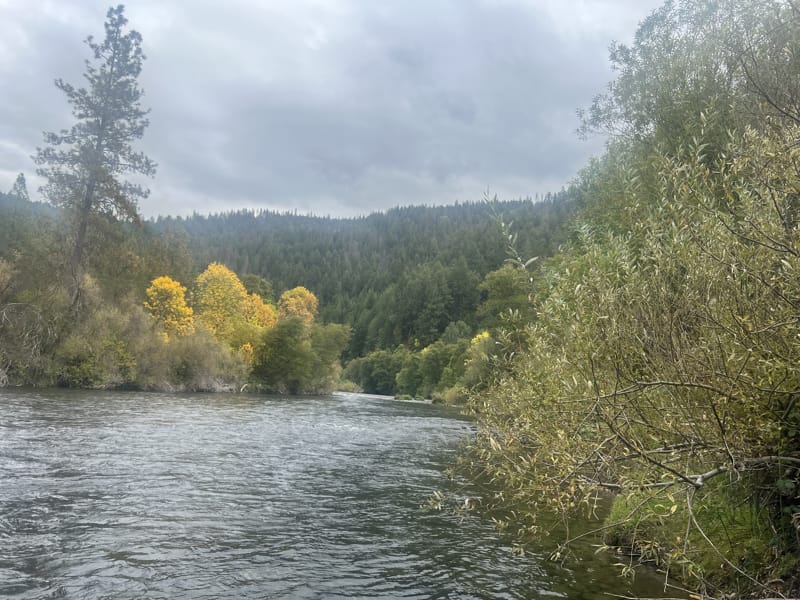 Trinity River Jack Trout Fly Fishing Guide