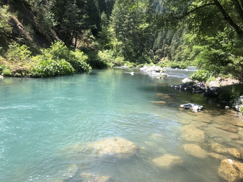 McCloud River jacktrout flyfishing