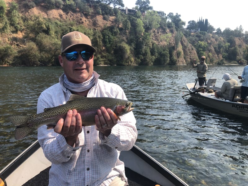 Lower Sacramento River Jack Trout Fly Fishing Guide