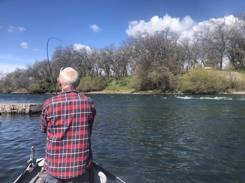 Lower Sacramento River Jack Trout Fly Fishing Guide