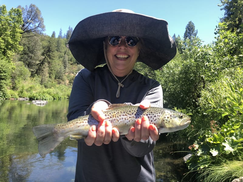 Upper Sacramento River Jack Trout Fly Fishing Guide