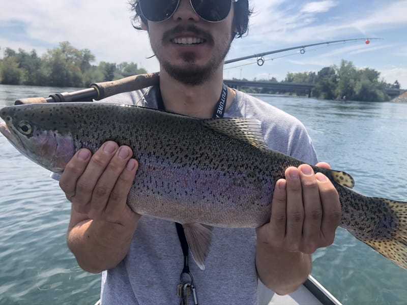 Lower Sacramento River Jack Trout Fly Fishing Guide