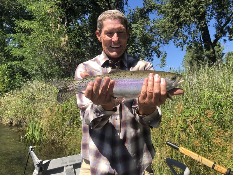 Lower Sacramento River Jack Trout Fly Fishing Guide