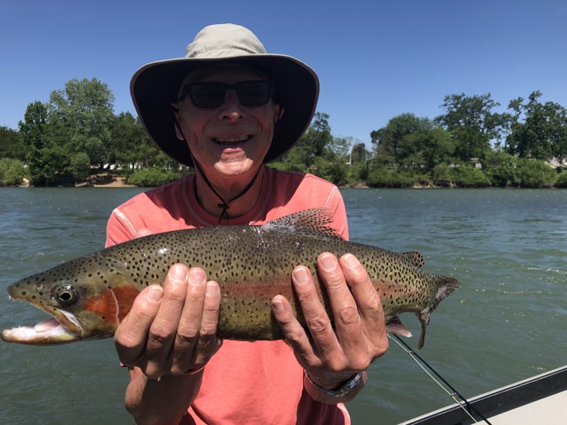 Lower Sacramento River Jack Trout Fly Fishing Guide