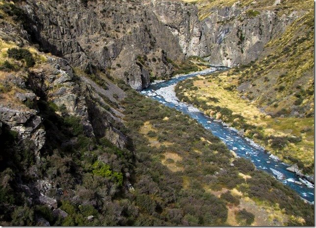 Jack Trout Fly Fishing Guide New Zealand