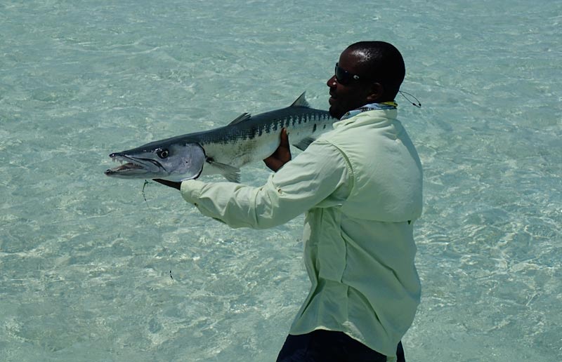 Bahamas Jack Trout Fly Fishing Guide