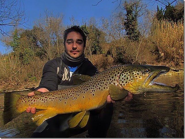 Spain Jack Trout Fly Fishing Guide