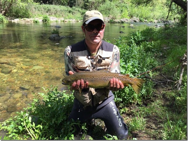 Spain Jack Trout Fly Fishing Guide