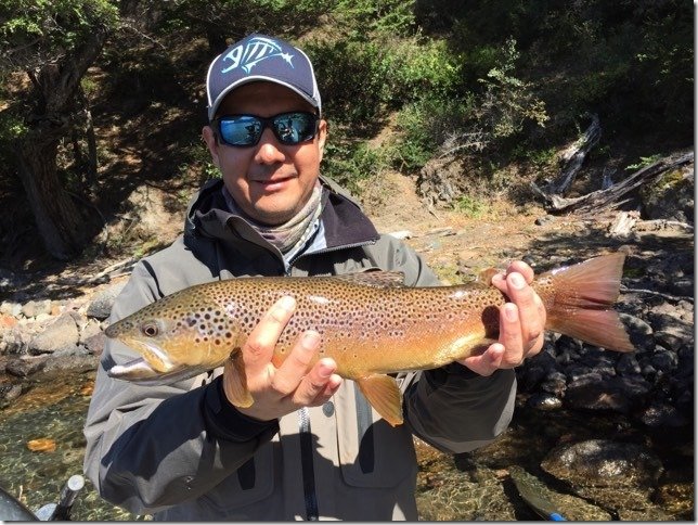 Jack Trout Fly Fishing Guide Patagonia, Chile